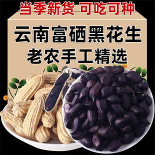 云南富硒黑花生老农手工精选生带壳黑皮花生种子当季新货可吃可种