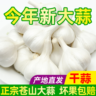 山东农家新鲜大蒜头干蒜白皮5斤生蒜瓣3斤苍山今年新蒜种子10斤