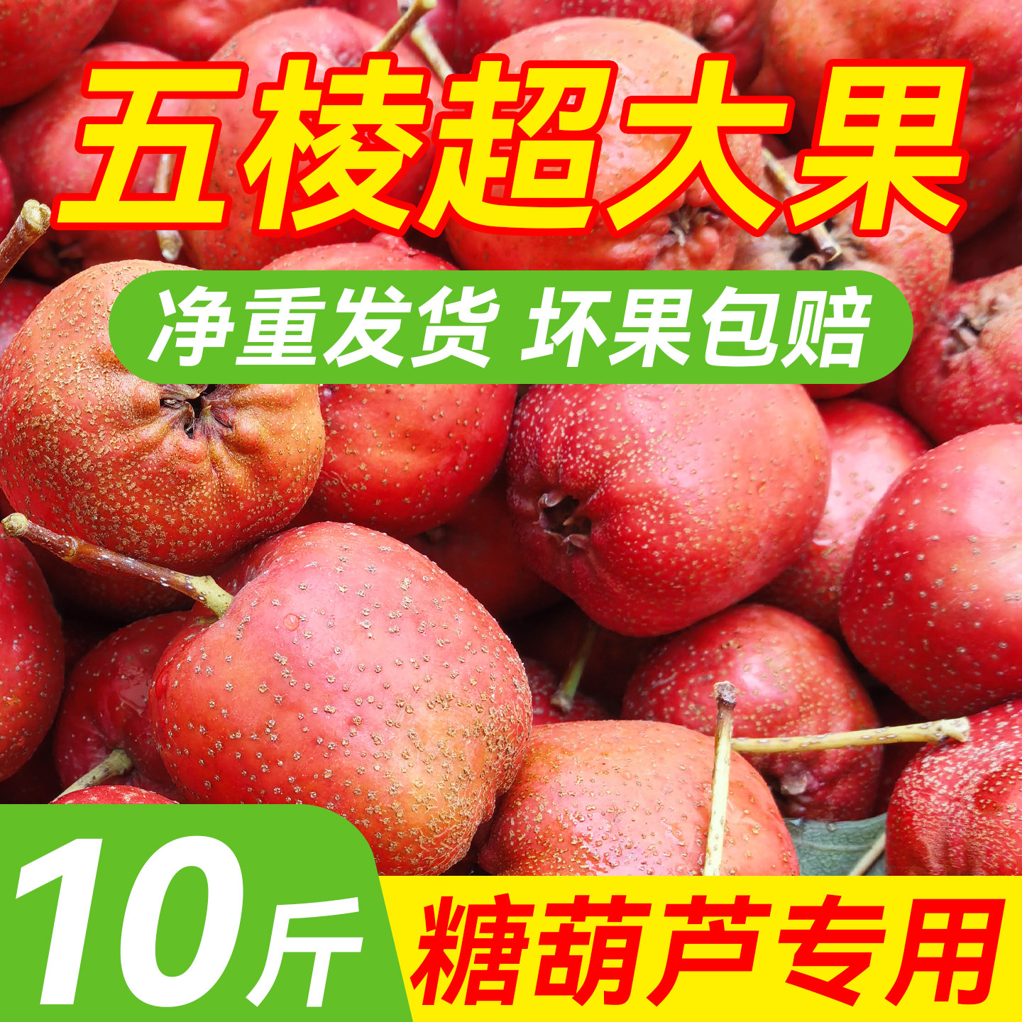 新鲜山楂鲜果现摘酸甜五棱山楂大果山里红甜红子大金星糖葫芦专用,水产肉类/新鲜蔬果/熟食,山楂/红果,淘宝优惠券,粉丝福利购,淘宝优惠卷