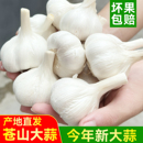 山东大蒜5斤干蒜3斤装 白皮四六瓣大蒜种子大蒜头 苍山农家新鲜当季