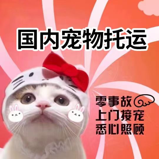 成都北京宠物托运服务全国猫咪空运狗狗航空邮寄猫快递运输狗随机