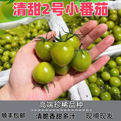【超甜高端清甜小番茄】山东正宗青衣绿宝石圣女果皮薄多汁清口蜜
