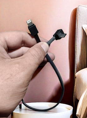 TPey-C口对水果头30公分长充电宝短线