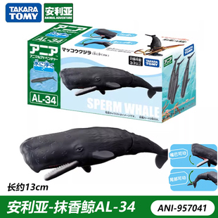 TOMY多美安利亚抹香鲸仿真海洋动物玩具模型可动儿童认知玩具礼物
