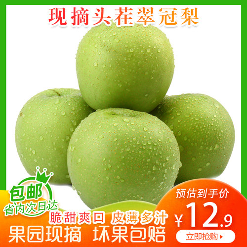 山东现摘翠冠梨当季新鲜梨子脆甜