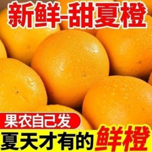 正宗桂林夏橙新鲜现摘应季正宗橙子水果整箱批发榨汁专用水果酸甜