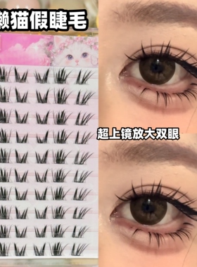 EIYI免胶水懒懒猫须假睫毛不朽之恋女狐系COS漫画眼超上镜眼睫毛