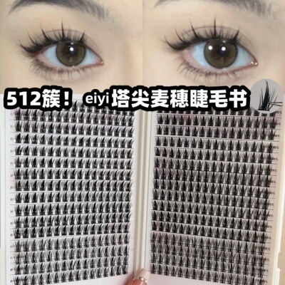 塔尖麦穗512簇超级容量睫毛书~