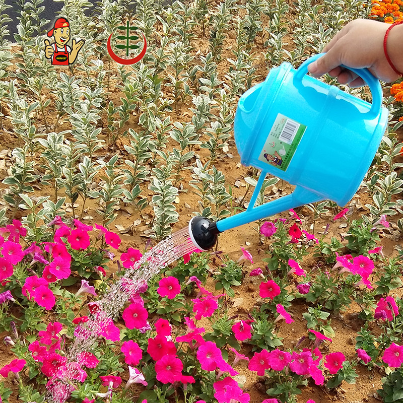 华丰长尖嘴洒水壶塑料淋花浇水器