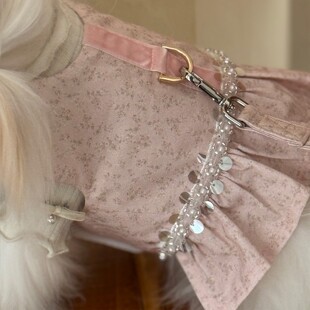 韩国轻奢小型犬宠物衣服马尔济斯比熊约克夏西施胸背牵引绳套装春