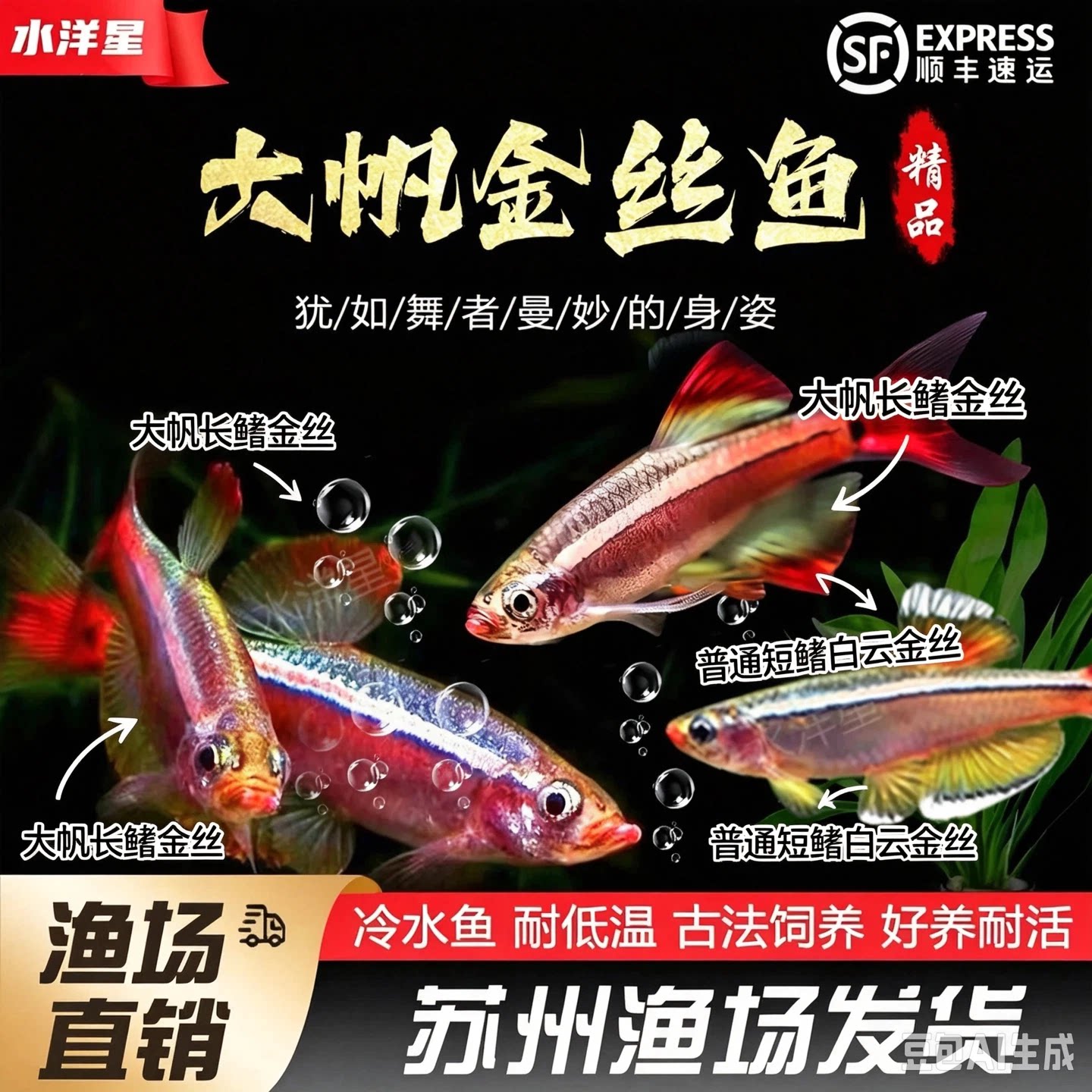 冷水桌面鱼缸原生态小鱼好养耐活