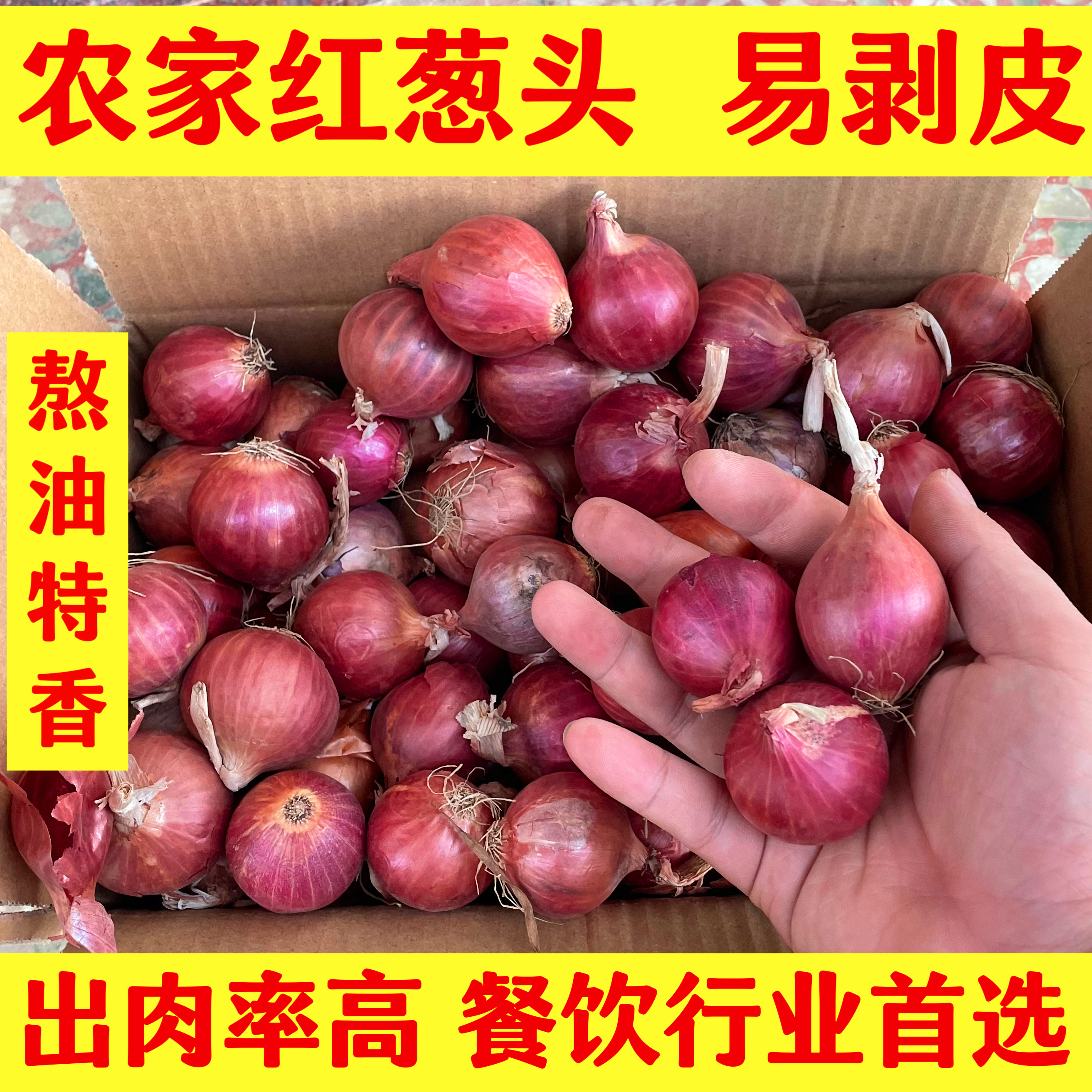 新鲜红葱头干葱头珠葱圆葱小洋葱炸葱油广东肠粉酱汁产地直销包邮