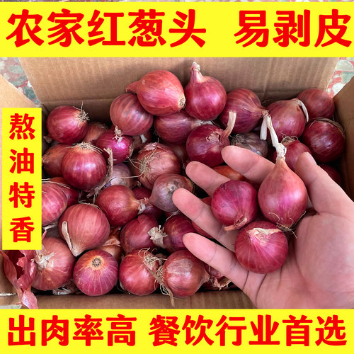 新鲜红葱头干葱头珠葱圆葱小洋葱炸葱油广东肠粉酱汁产地直销包邮