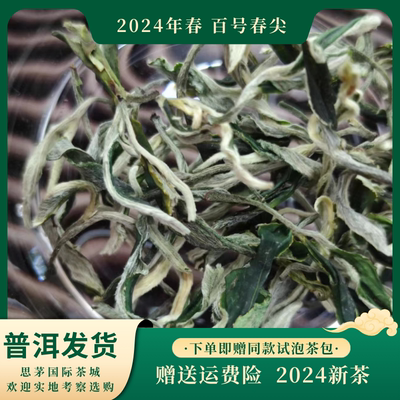 2024新茶春茶百号春尖绿茶云南普洱毛尖春尖毛峰茶清香型散装滇绿