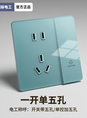 TEP国际电工超薄蓝色钢化玻璃一开单控5五孔开关控制插座二三面板