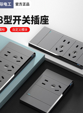 TEP国际电工灰色118型开关面板暗装墙壁五20孔二三插12十二孔插座