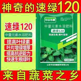 中谷农康速绿120叶绿素促根生根增强光合作用黄叶变绿作物叶面肥