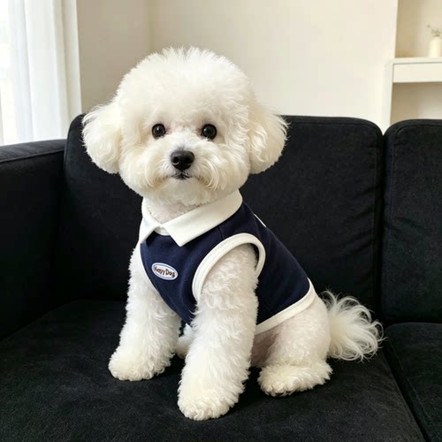 小狗秋季衣服背心Polo衫宠物设计感薄款雪纳瑞比熊泰迪中小型犬衣