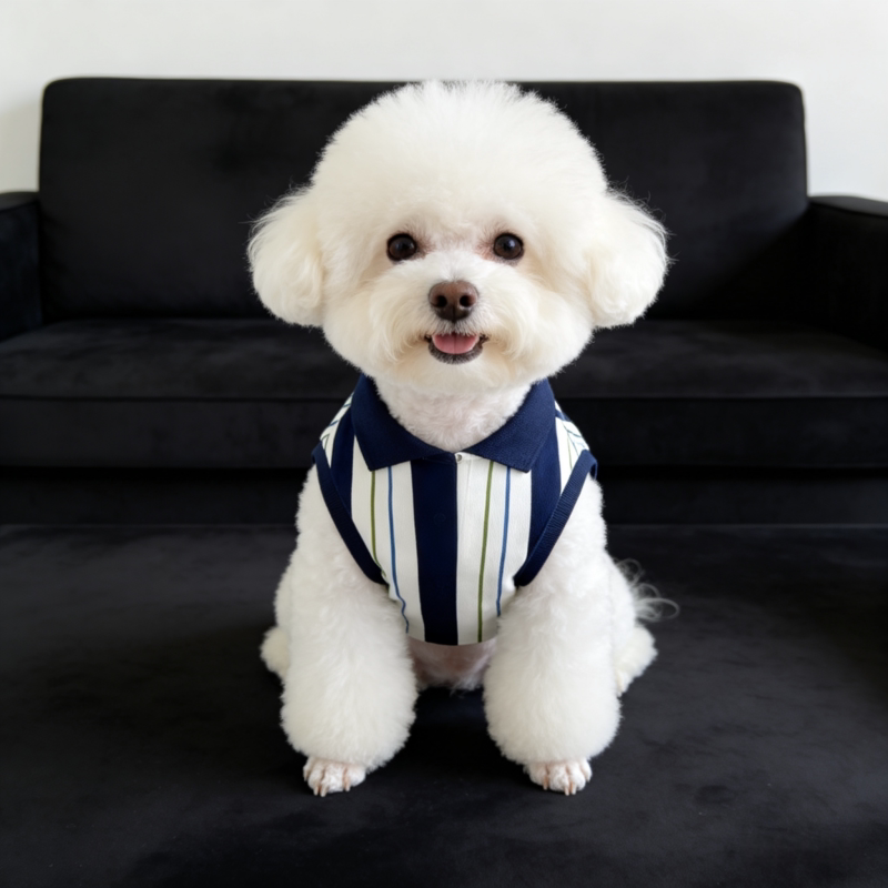 宠物春夏POLO领狗狗背心雪纳瑞泰迪比熊小狗薄款西高地中小犬潮