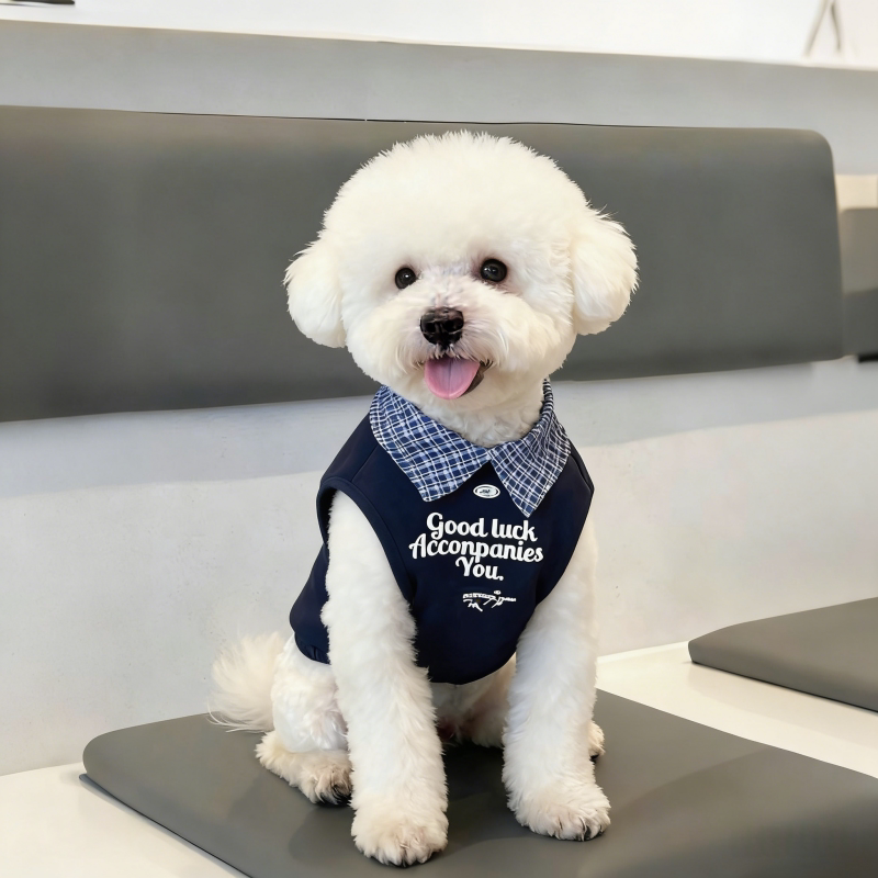 小狗春夏衣服背心Polo衫宠物设计感雪纳瑞比熊泰迪中小型犬两脚衣