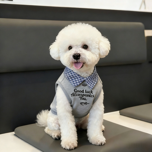 小狗春夏衣服背心Polo衫宠物设计感雪纳瑞比熊泰迪中小型犬两脚衣