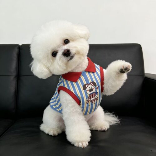 宠物夏季条纹POLO领衣服雪纳瑞西高地比熊POLO领柴犬中小狗衣服潮