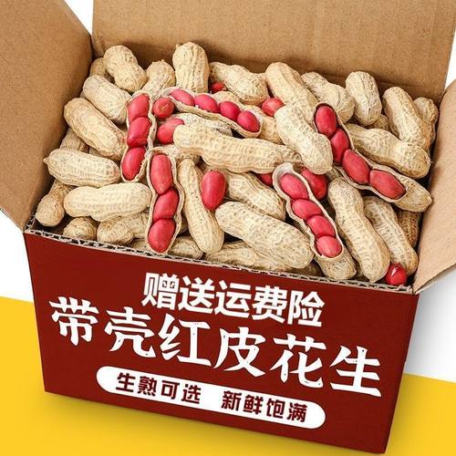 2025年新货新红皮生花生带壳新鲜晒干原味花生铁锅炒货农家花生米