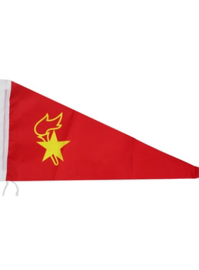 中国少先队小队旗30X52cm小红旗三角标准队旗