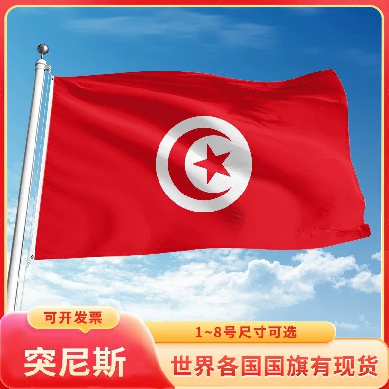 突尼斯国旗世界各国旗帜万国旗定制12345号户外手摇旗串旗办公桌