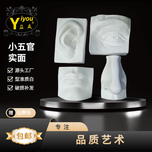 五官石膏眼耳口鼻实面切面石膏写生素描绘画室专用创艺浮雕石膏