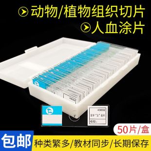 生物切片装人血涂片人体四大组织字母e上字神经洋葱表皮植物根尖