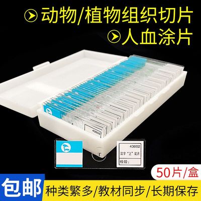 生物切片装人血涂片人体四大组织