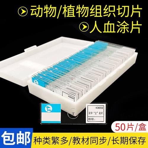 生物切片装人血涂片人体四大组织