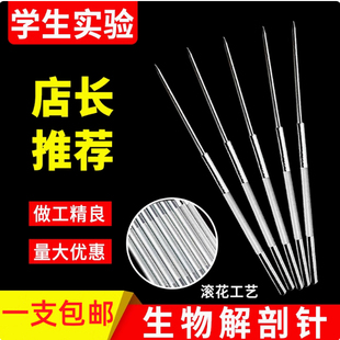 优级带滚花昆虫解剖针不锈钢中学生物实验探针直尖教学解剖工具