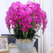 特大号手感pu蝴蝶兰仿真花客厅装 饰花电视柜玄关假花公司前台摆设