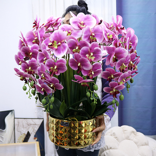 仿真蝴蝶兰特大号手感PU装饰花客厅茶几摆设花电视柜酒店前台假花