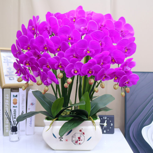 高档仿真花大盆保湿手感蝴蝶兰家居客厅装饰电视柜玄关冰箱摆设花