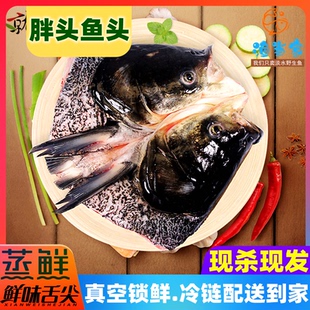 新鲜大鱼头胖头鱼水库原生态大鱼头鳙鱼花鲢大头鱼包头鱼鲜活现杀