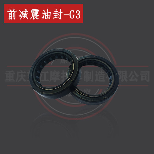G3前减震油封望江大公仔WJ150-18骐迹D5布雷斯通C1和C2前减震油封 - 封面
