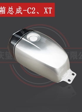 布雷斯通G3-XT油箱总成250-C2灰色油箱12L油壶配件不带锁具