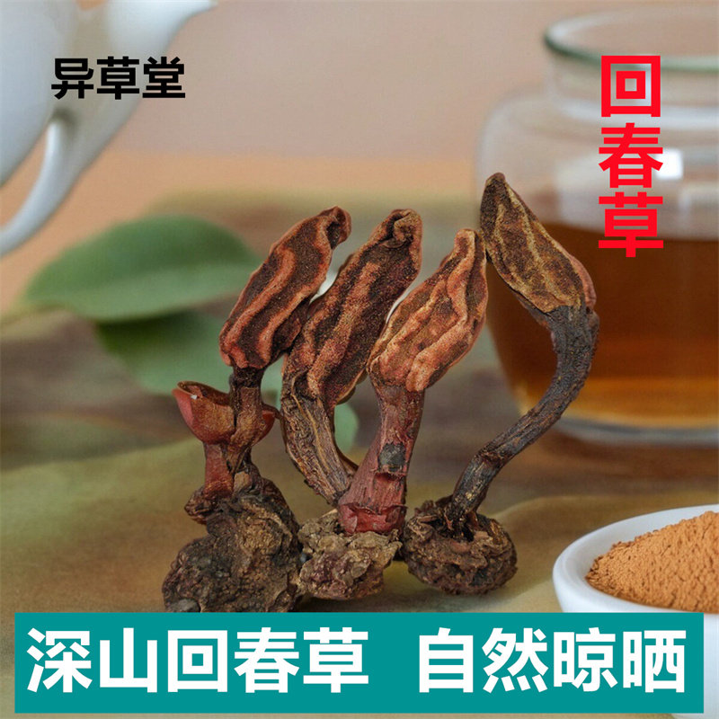 回春草中药材500克不老草顶天住新鲜干货泡水泡酒料男性滋补泡酒