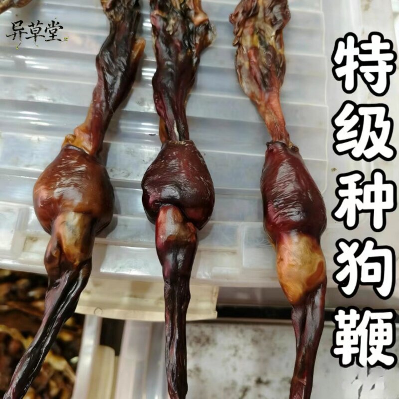 正宗黄狗鞭干整根一条包邮干货全套黑狗鞭中药材泡酒料 打狗鞭粉
