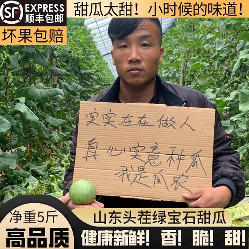 绿宝甜瓜新鲜水果山东头茬绿宝石