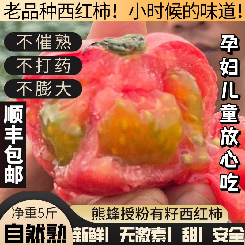 西红柿新鲜自然熟生吃的老品种水果草莓番茄铁皮柿子熊蜂有籽沙瓤