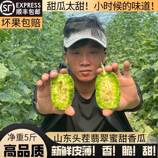 翡翠蜜甜瓜香瓜新鲜水果当季水果稀罕的水果山东黄金棒瓜顺丰包邮