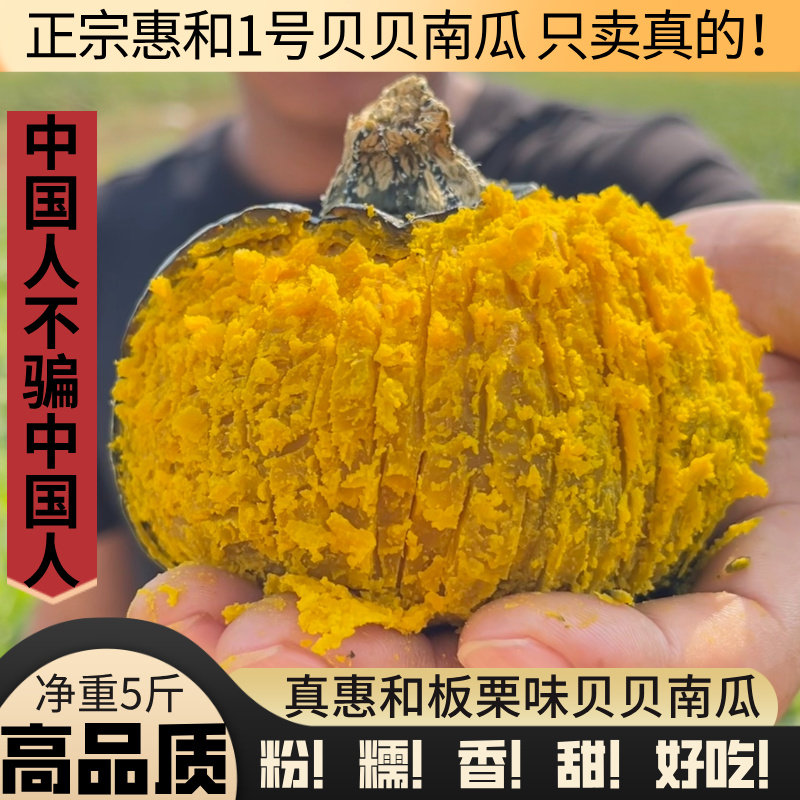 惠和一号贝贝南瓜正宗板栗味贝贝板栗小南瓜粉糯香甜老南瓜新鲜