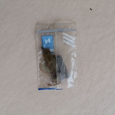 强信杜克普557圆头锁眼机凤眼车工业零配件刀具底刀片座刀5571677