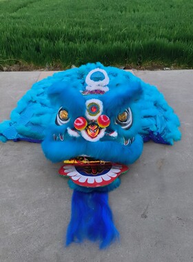 舞龙舞狮道具成人款双人羊毛玻璃钢材质南狮子头醒狮全套道具