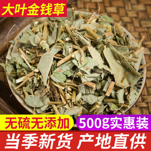 中药材正品金钱草 广金钱草泡茶 大叶金钱草干 新货500克包邮