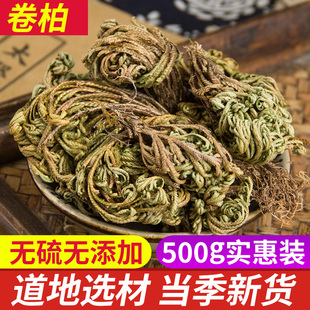 卷柏 九死还魂草正品中药材500g包邮石柏粉 不死草 还阳草 长生草